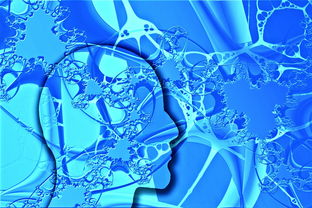 Kaiyun官方登录入口-中国足球不同战术体系试验数据，国足战术风格