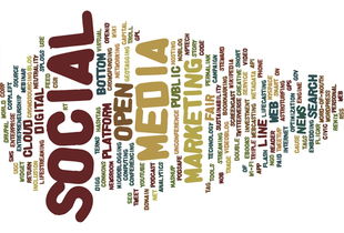 开云官网APP下载-新加坡队赛制解析：如何借助赛制优化提高整体协作，新加坡邀请赛赛程